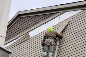 Professional Siding in Goldenrod, FL